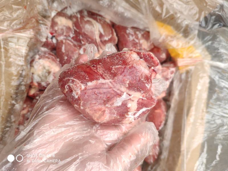 小猪心3两多精修无刀口