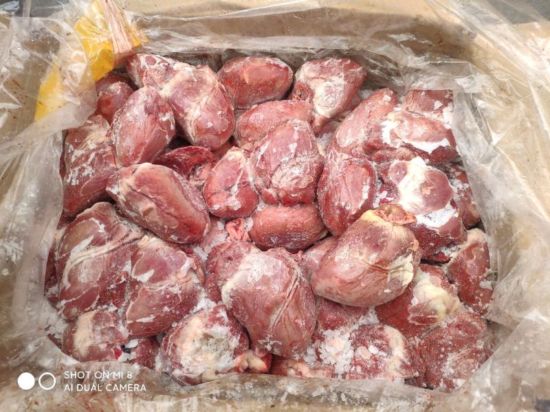 小猪心3两多精修无刀口