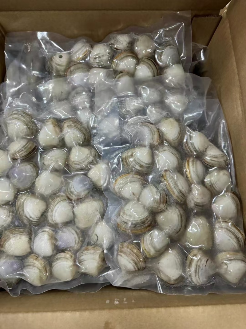 黄蚬子，东港无沙黄蚬子，黄蚬子，文贝，无沙黄蚬子，黄蚬子