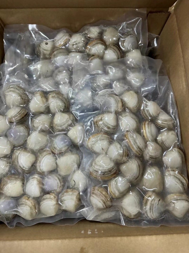 黄蚬子，东港无沙黄蚬子，黄蚬子，文贝，无沙黄蚬子，黄蚬子
