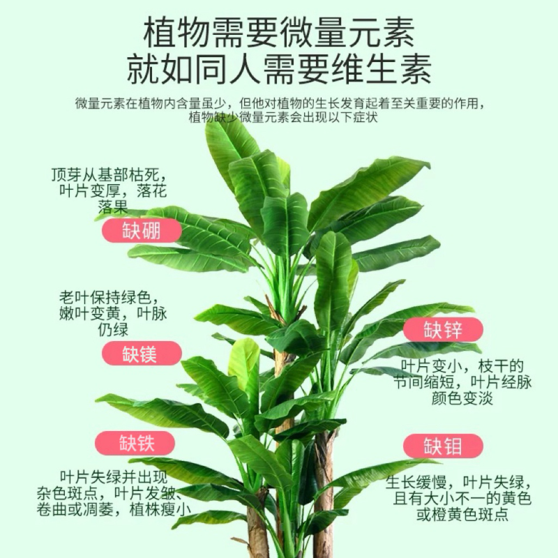 A大量元素水溶肥平衡高钾高氮高磷膨果增甜着色冲施滴灌