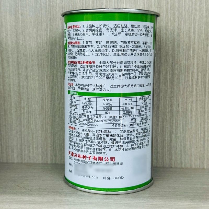 津南实芹一号芹菜种子四季小香芹种籽玻璃脆芹香味浓郁高产四