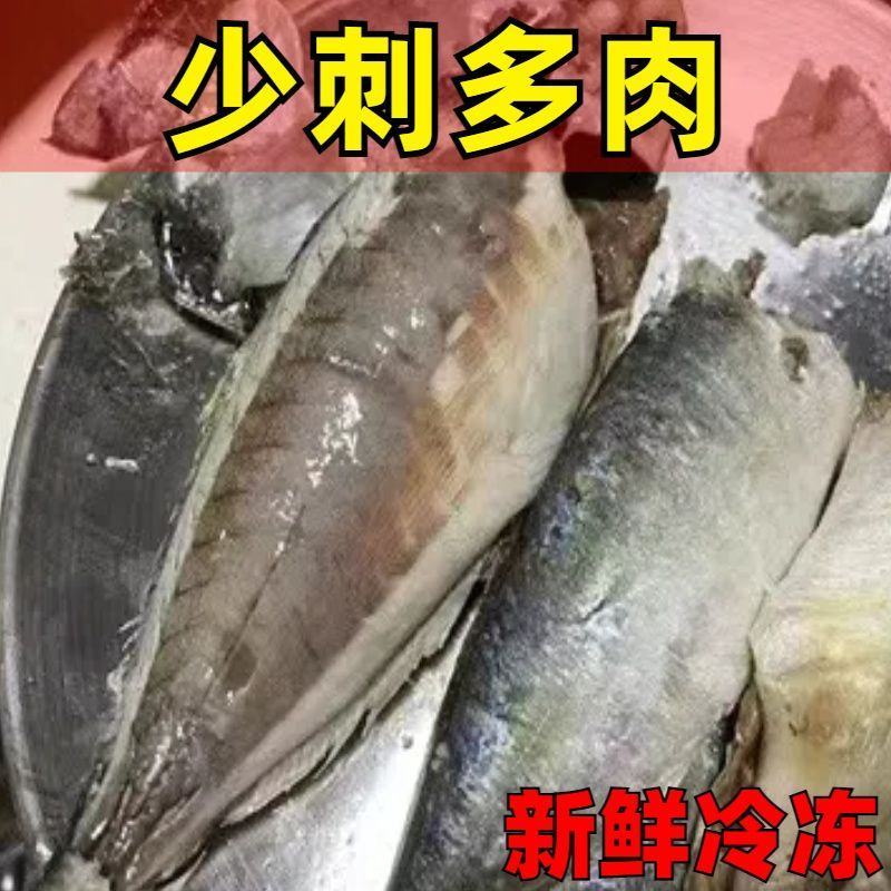 巴浪鱼新鲜大号海捕鲜活冷冻海鲜水产批发整箱巴浪鱼包邮