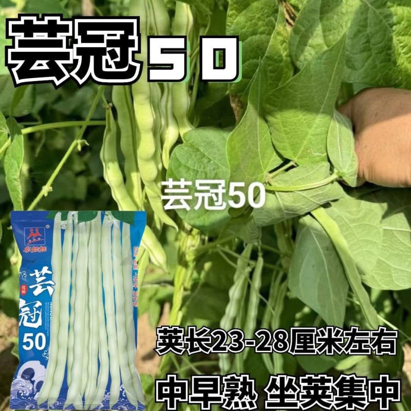 芸冠50架豆种子中早熟高产特长四季豆豆角种籽长豇豆抗病坐