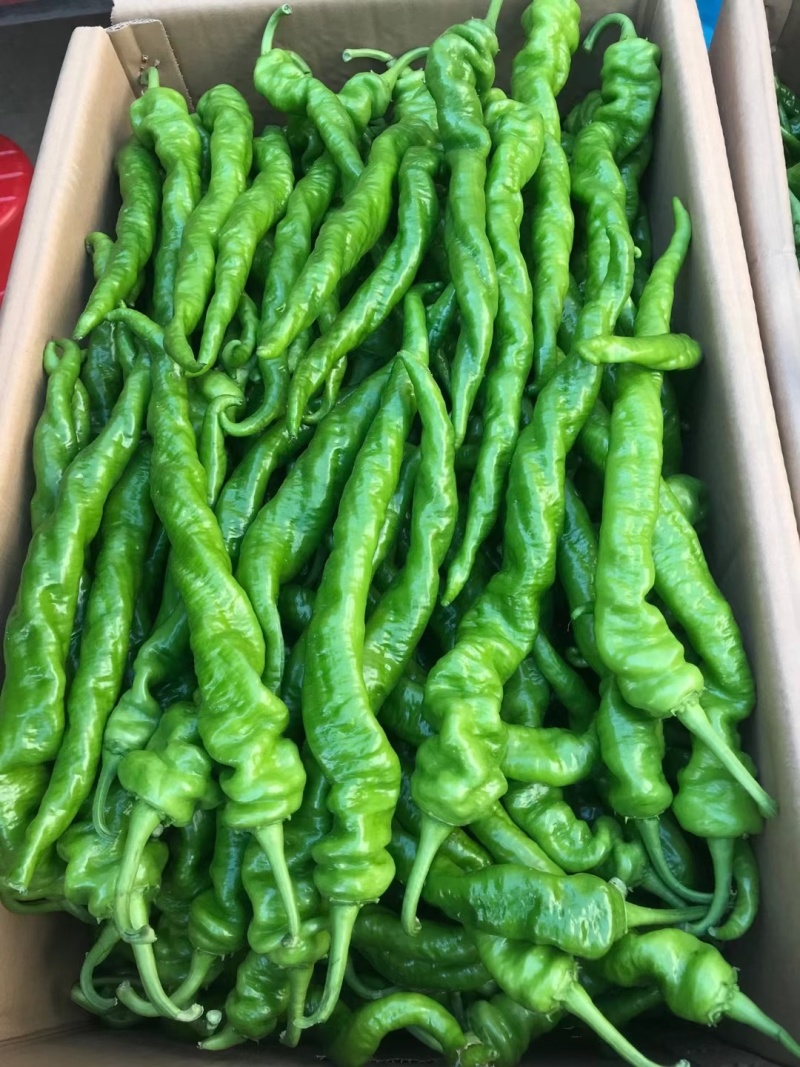 精品螺丝椒