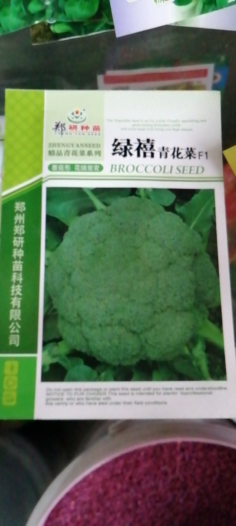 青花菜，西兰花，早熟性好，定植后60天左右收获。