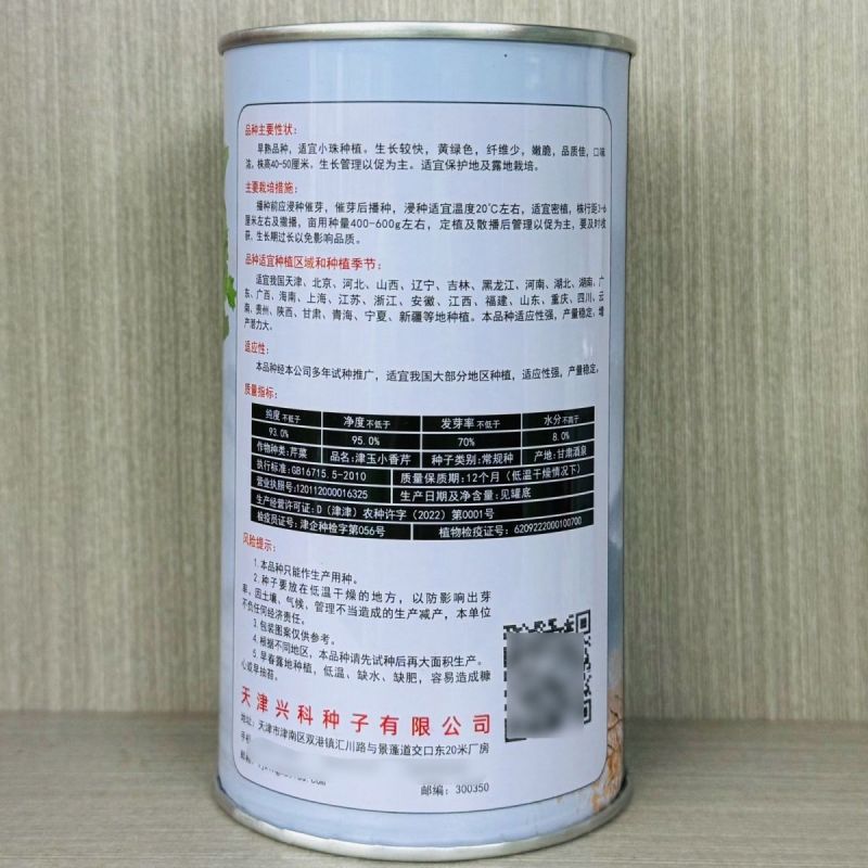津玉小香芹种籽速生长早熟纤维少口感佳基地种植芹菜种子高产