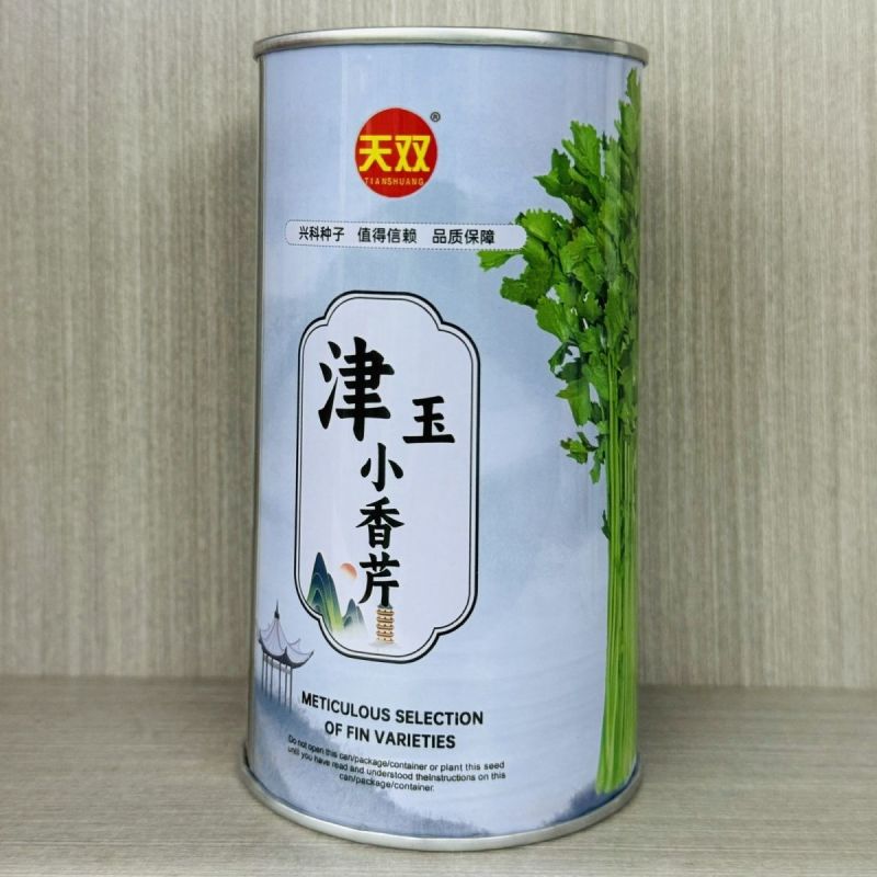 津玉小香芹种籽速生长早熟纤维少口感佳基地种植芹菜种子高产
