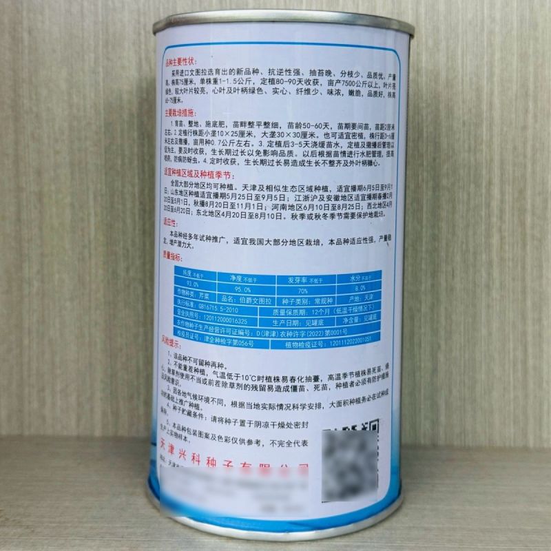 伯爵文图拉西芹种子进口原种繁育四季芹菜种籽耐抽苔色泽亮绿