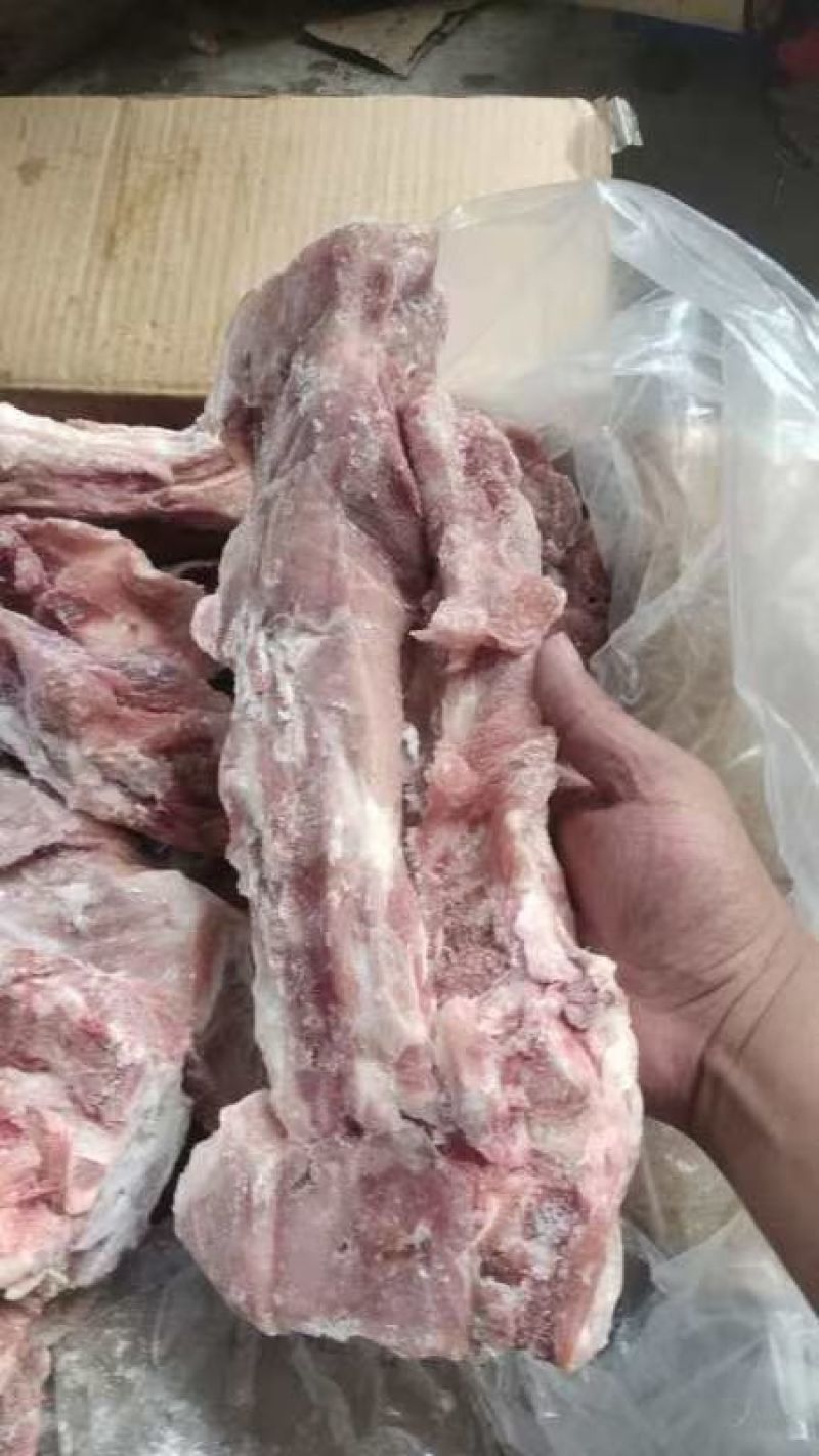 猪尾骨今年8月份新货带肉60以上，自家库存，临沂支持看货