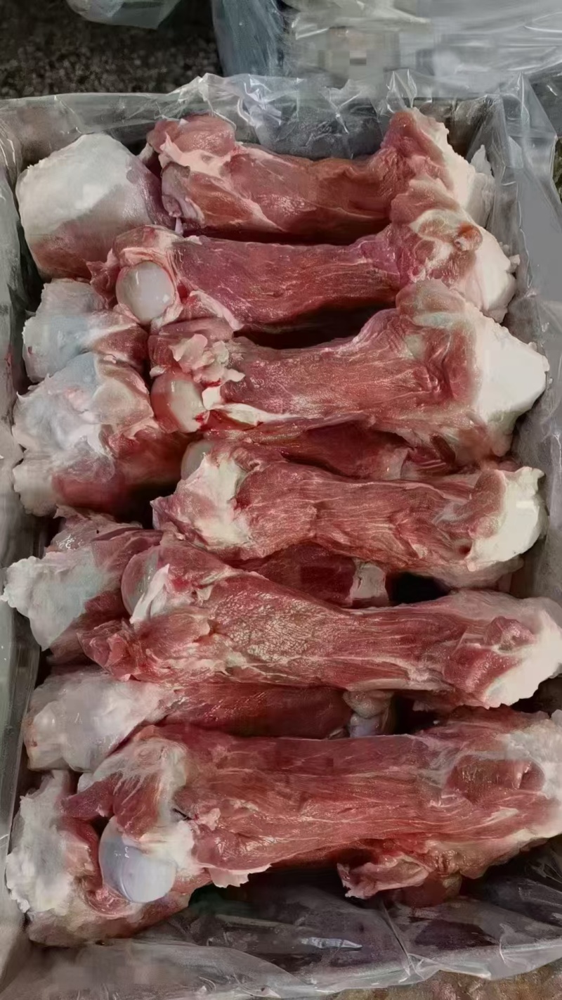 猪尾骨今年8月份新货带肉60以上，自家库存，临沂支持看货