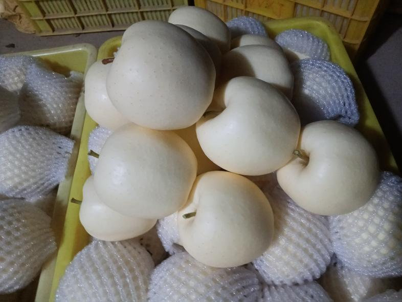 黄元帅苹果品种展示