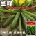 圣峰稀有特色西葫芦种子墨绿一代杂交墨玉深绿西葫芦种籽高产