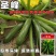 圣峰稀有特色西葫芦种子墨绿一代杂交墨玉深绿西葫芦种籽高产