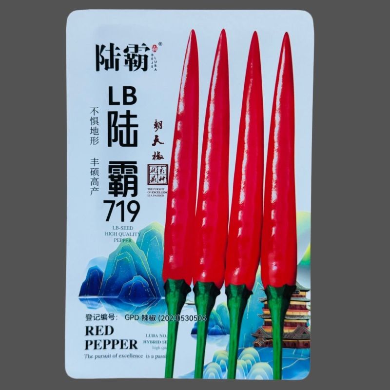 陆霸719大果朝天椒种子中晚熟抗病丰产大果长把朝天椒种