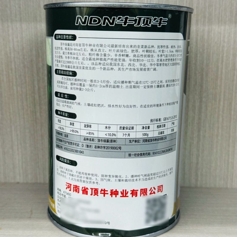 顶牛绿灞韭菜种子正品不休眠冬季韭菜种籽抗寒抗病大宽叶韭菜