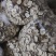 【优选】精选无硫雪梨干高品质原果质量保障健康美味