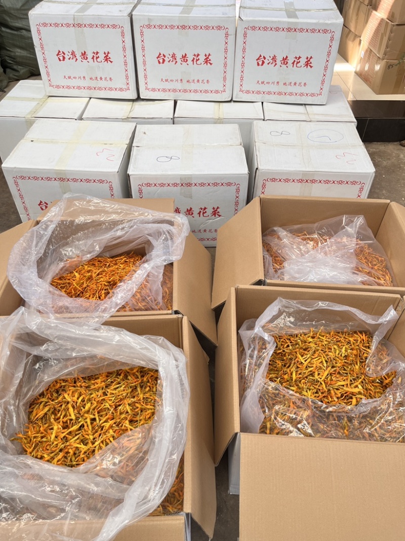 【台湾黄花菜】大货批发价格优势新品种口感爽脆电商直播爆品