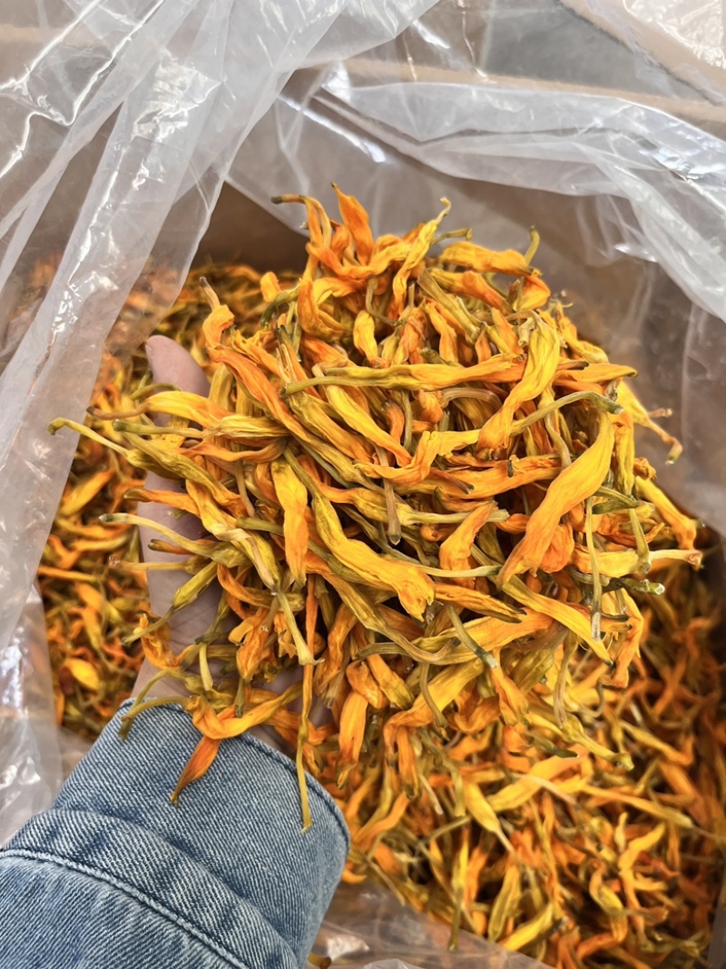 【台湾黄花菜】大货批发价格优势新品种口感爽脆电商直播爆品