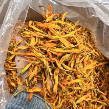 【台湾黄花菜】大货批发价格优势新品种口感爽脆电商直播爆品