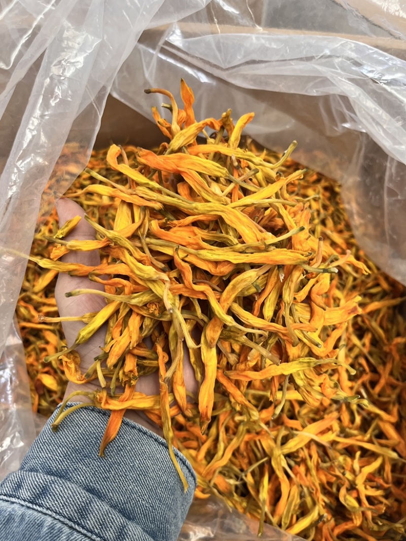 【台湾黄花菜】大货批发价格优势新品种口感爽脆电商直播爆品