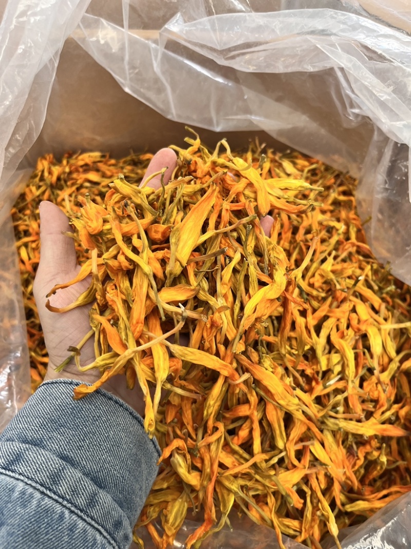 【台湾黄花菜】大货批发价格优势新品种口感爽脆电商直播爆品