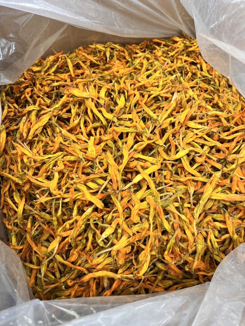 【台湾黄花菜】大货批发价格优势新品种口感爽脆电商直播爆品