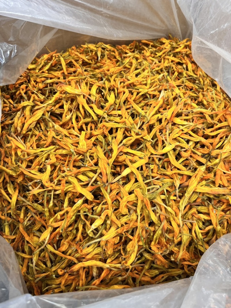 【台湾黄花菜】大货批发价格优势新品种口感爽脆电商直播爆品