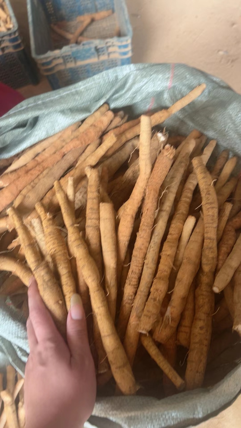 牛大力干片，鲜薯，种植，野生，无硫，质量好，一手货源供应