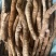 牛大力干片，鲜薯，种植，野生，无硫，质量好，一手货源供应