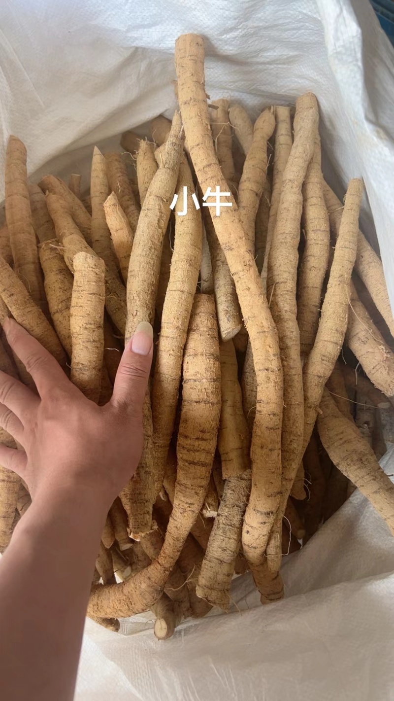 牛大力干片，鲜薯，种植，野生，无硫，质量好，一手货源供应