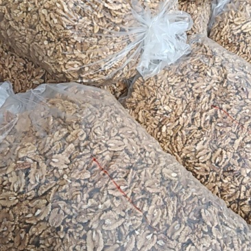 精品核桃仁