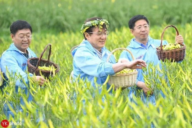 【台湾黄花菜】大货批发价格优势新品种口感爽脆电商直播爆品