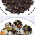 小伙子拌饭海苔某村拌饭同款