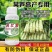 莴壮素莴笋专用控旺增粗剂