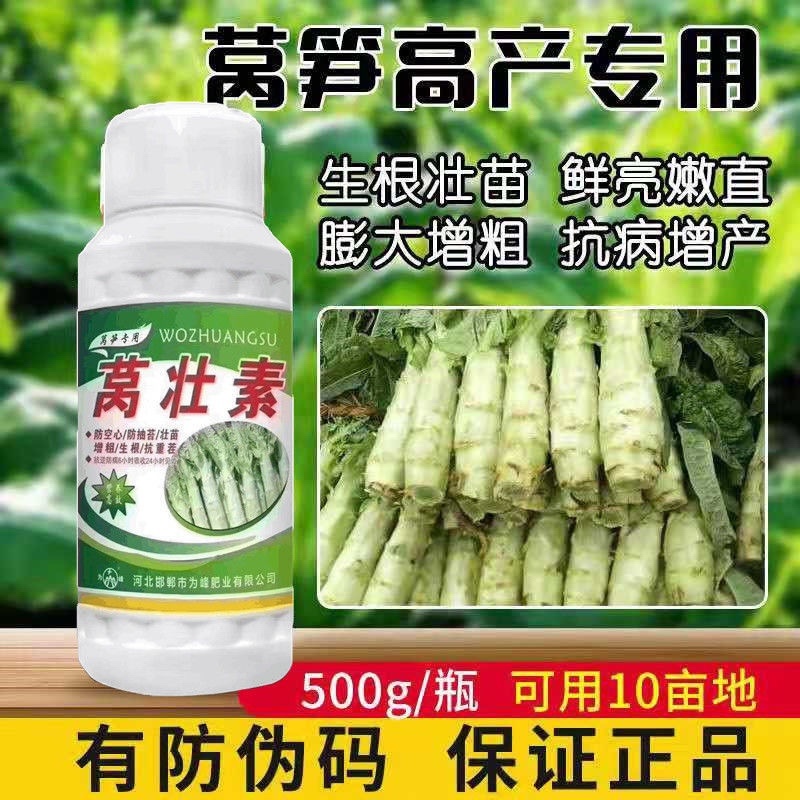 莴壮素莴笋专用控旺增粗剂