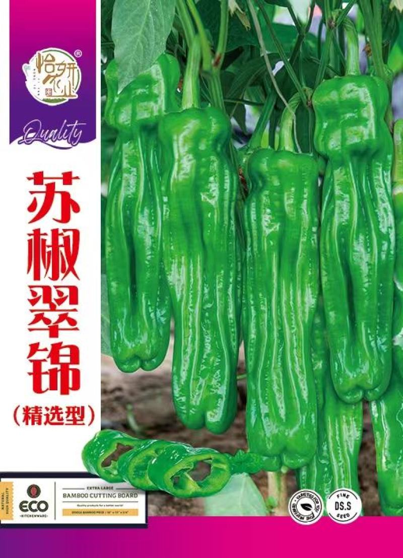 辣椒种子苏椒翠锦大果早熟薄皮泡椒果色亮绿皮薄质嫩