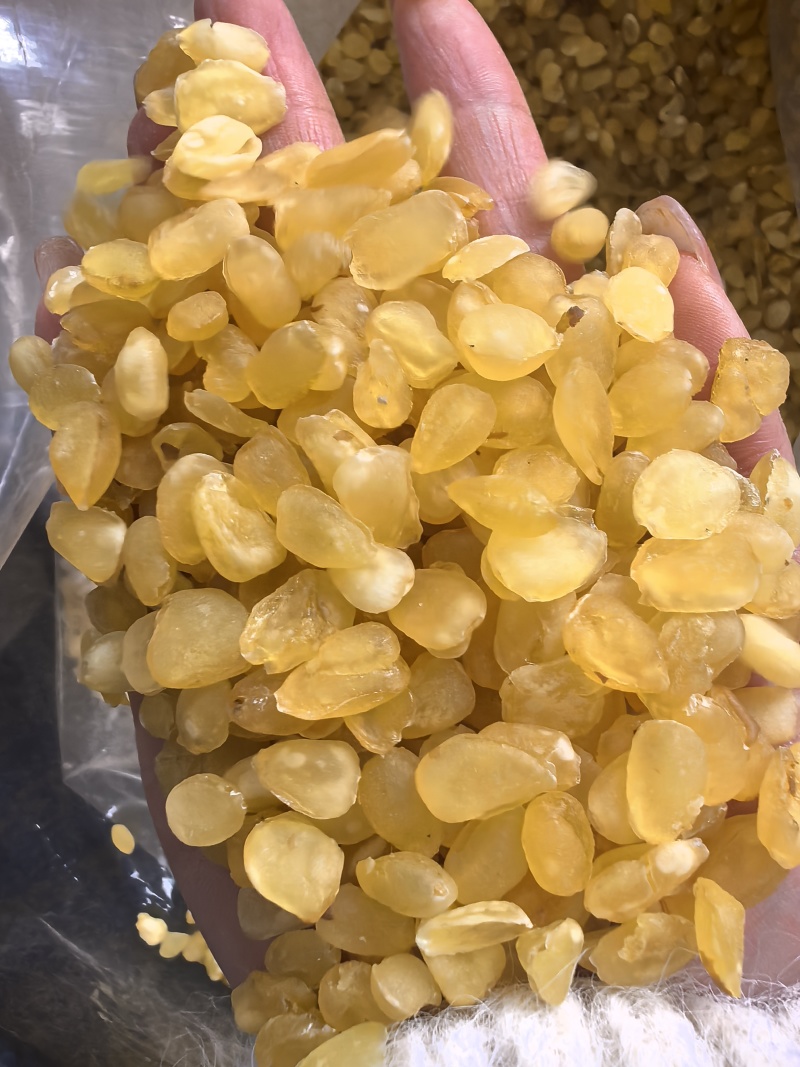 双夹皂角米