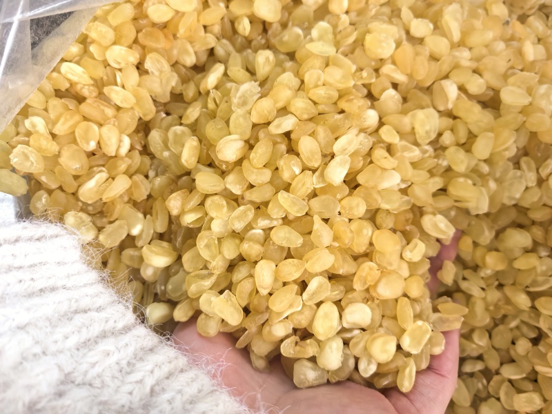 双夹皂角米