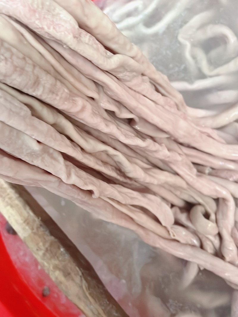 牛肠圆小肠拋边去油牛小肠牛大肠牛小肚牛肠