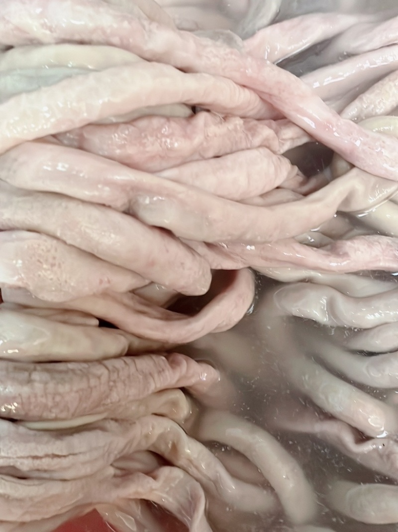 牛肠圆小肠拋边去油牛小肠牛大肠牛小肚牛肠