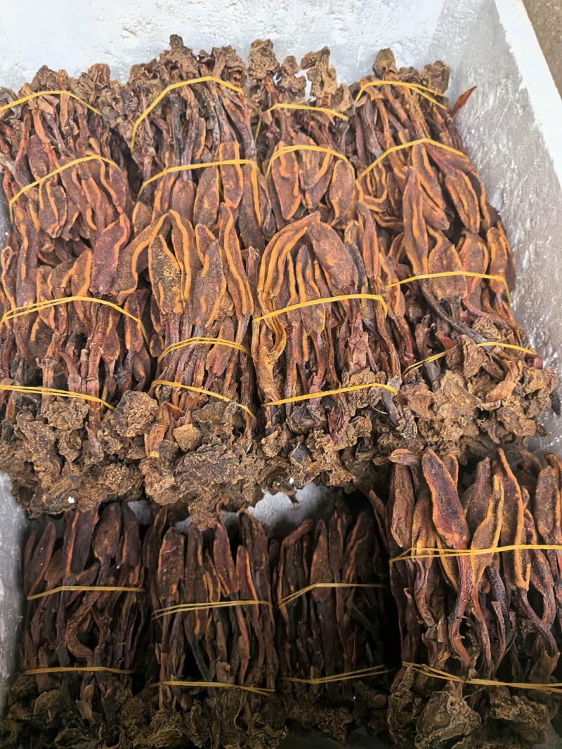 回春草
