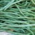 无筋豆大量上市