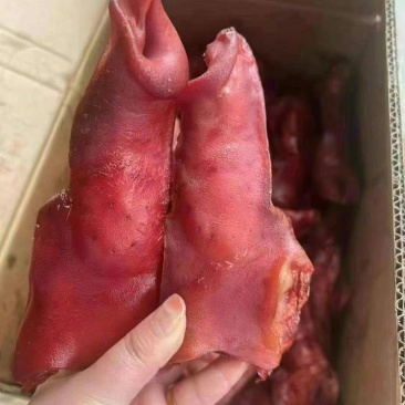 烟熏腊拱嘴，颜色漂亮，干度好，味道香一件50斤