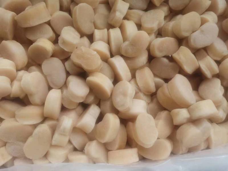 原汁江瑶贝柱江瑶贝带子肉原料精选贝柱鲜贝