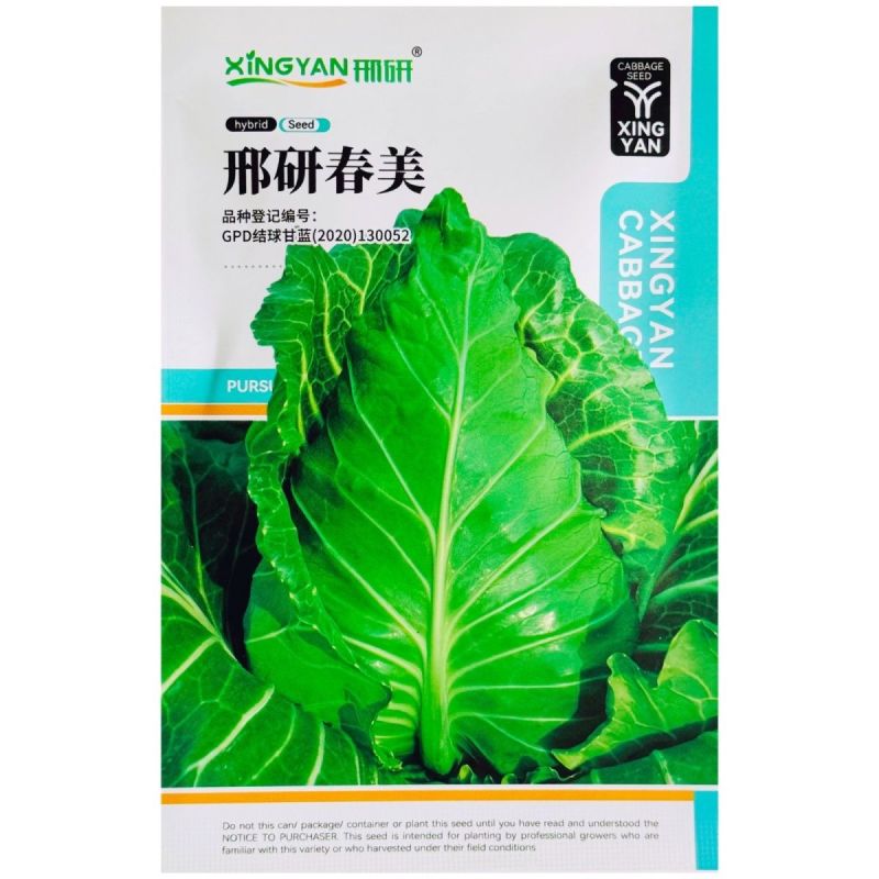 邢研春美牛心甘蓝种子耐寒耐抽苔叶色深绿蜡粉中等越冬强包菜