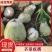 芥菜疙瘩芥菜头产地直发品质保障量大优惠按需包装