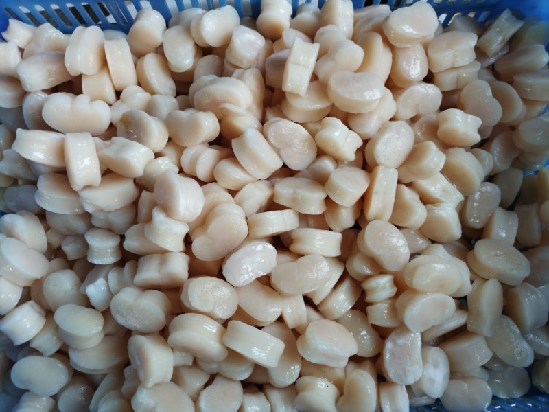 原汁江瑶贝柱江瑶贝带子肉原料精选贝柱鲜贝