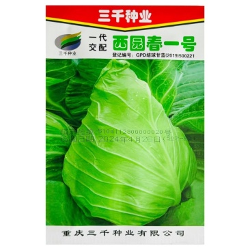 西园春1号牛心甘蓝种子春秋甘蓝早熟耐抽薹牛心包菜种籽高产