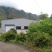 千岛湖浙渝山茶油***山茶油宝宝油月子油野生山茶油美容护肤油
